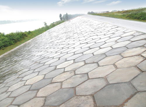 混凝土預制塊護坡（鎮(zhèn)橋聯(lián)圩4標）